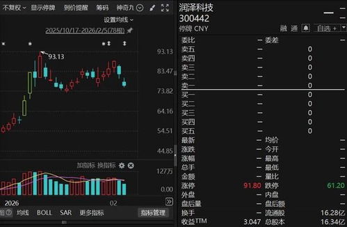 數(shù)據(jù)產(chǎn)業(yè)新布局 重要收購助力公司股價(jià)大漲，2月24日復(fù)牌引關(guān)注